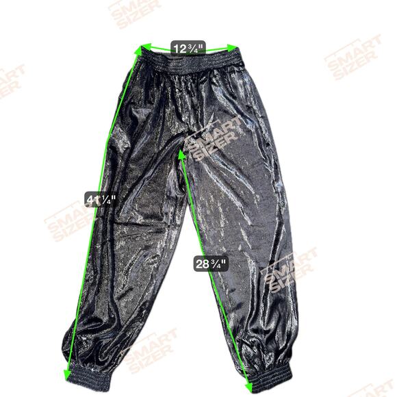 7 for all Mankind Glitter Joggers Heavy velor S - Picture 2 of 9